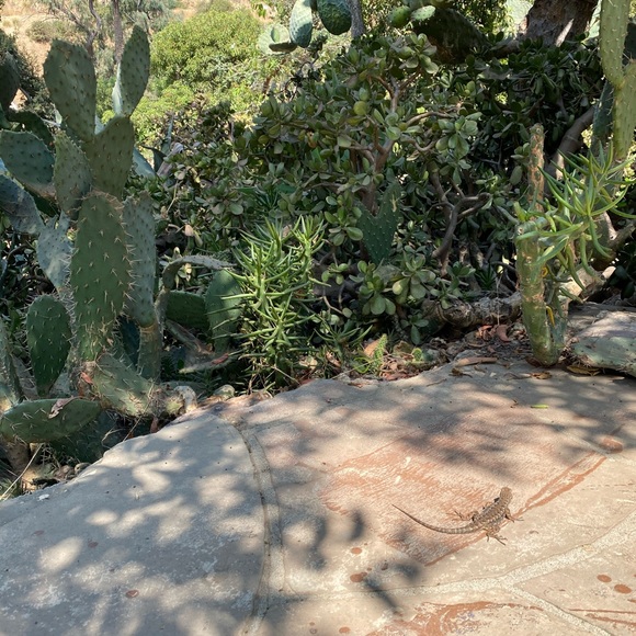 Meet your Posher, Noel - Picture 1 of 1